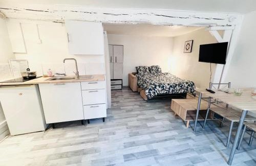 Troyes Apartment | Apartment in Heart of Troyes