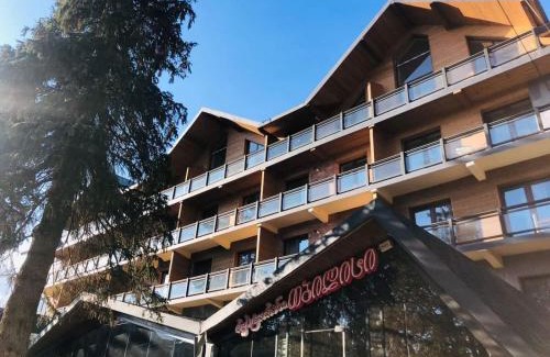 Bakuriani Apartment | Apartment in hotel Tbilisi, Bakuriani