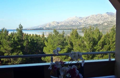 Rovanjska Apartment | Apartment in Jasenice 42083