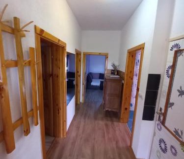 Rakovica Apartment | Apartment in Rakovica with Terrace, Air conditioning, Wifi (601-1)