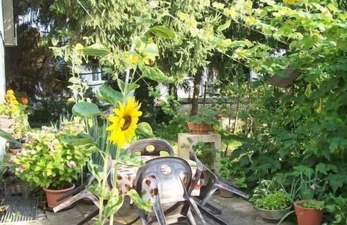 Vogtsburg Apartment | Apartment in Schelingen with Private Parking