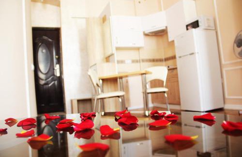 Kosuv Stary Apartment | Apartment in the city center