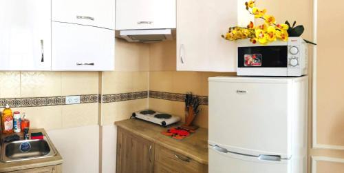 Kosuv Stary Apartment | Apartment in the city center