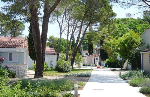 Zaton Apartment | Apartment in Zaton-Nin not far from the sea