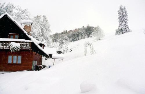 Janova Apartment | Apartment Janová by Interhome