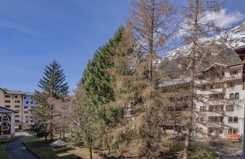Chamonix City Centre Apartment | Apartment Jonquille 2C - Chamonix Peaks Getaway