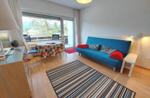Bad Mitterndorf Apartment | Apartment Kammspitze