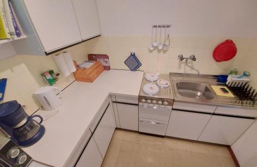 Bad Mitterndorf Apartment | Apartment Kammspitze