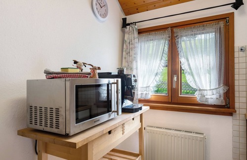 Todtnauberg Apartment | Apartment 'Kapelle' with Mountain View, Shared Garden and Wi-Fi
