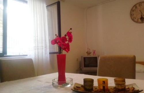 Kotor Apartment | Apartment Kotor-Andrija Jovanovic