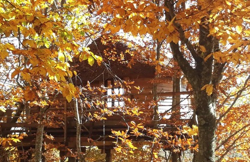 Saint-Agreve Apartment | Apartment 'La Cabane Des Fayards' with Mountain View, Private Terrace and Shared Garden