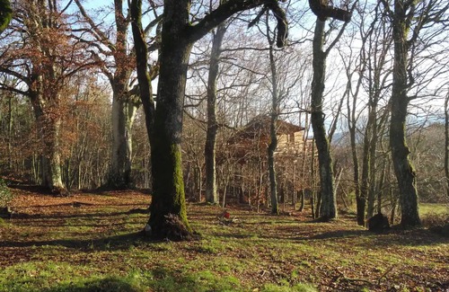 Saint-Agreve Apartment | Apartment 'La Cabane Des Fayards' with Mountain View, Private Terrace and Shared Garden