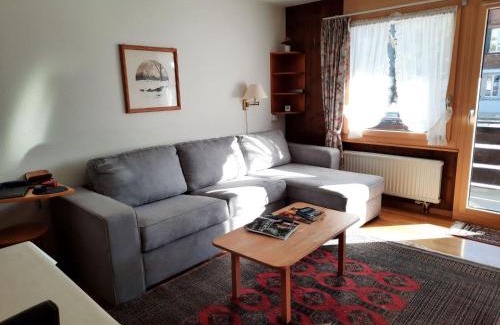 Zweisimmen Apartment | Apartment Mösli - Zimmerli by Interhome