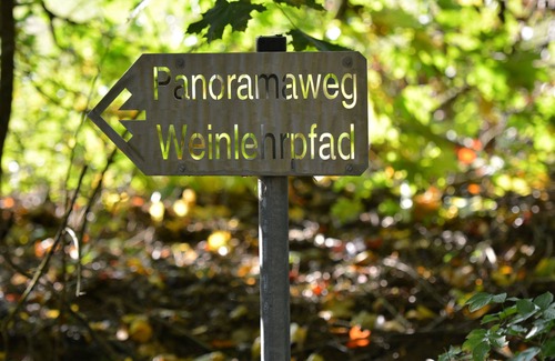 Karlstadt Apartment | Apartment Magnolia with quiet terrace in the middle of Karlstadt