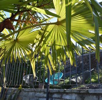 Pianello del Lario Apartment | Apartment Monte e Lago