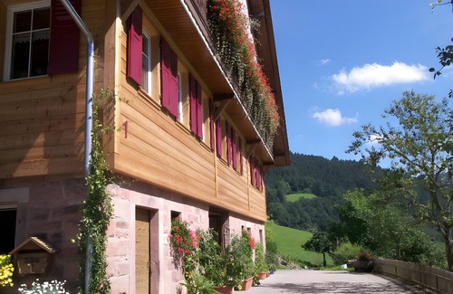 Oberwolfach Apartment | Apartment 'Nichtraucher' with Shared Garden, Balcony and Wi-Fi