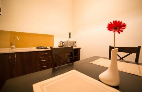 Lviv City Center Apartment | Apartment on Lychakivska