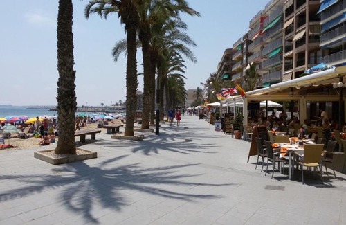 Torrevieja Apartment | Apartment Playa del Cura