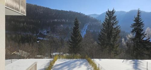 Spital am Semmering Apartment | Apartment Sebastian