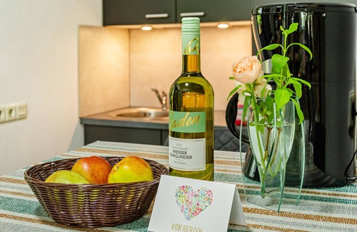 Idafehn Apartment | Apartment 'Seelter Ai Saterland' with Shared Garden, Balcony and Wi-Fi