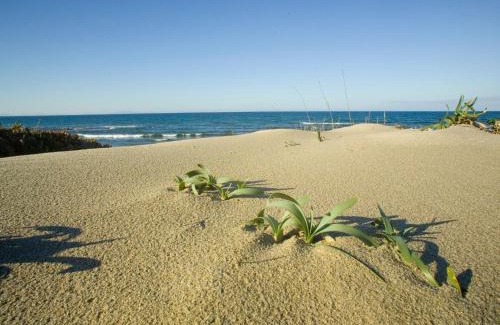 Eden Beach Apartment | Apartment Sentimentos by Interhome