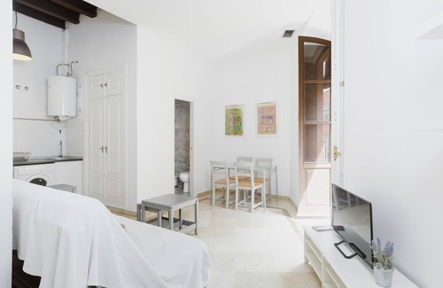 Santa Catalina Apartment | Apartment 'Sevilla Centro Con Piscina' with Shared Pool, Wi-Fi and Air Conditioning