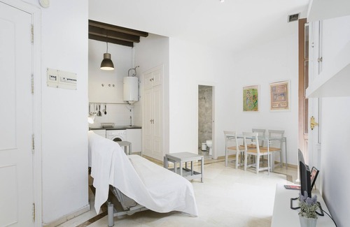Santa Catalina Apartment | Apartment 'Sevilla Centro Con Piscina' with Shared Pool, Wi-Fi and Air Conditioning