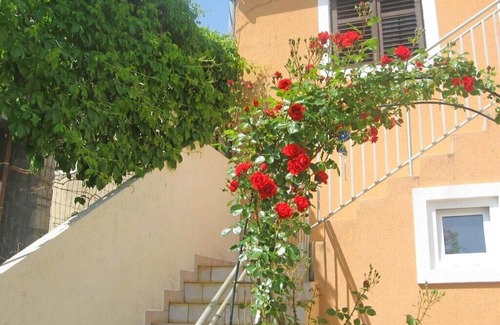 Prvic Luka Apartment | Apartment Svjetlana, (11662), Prvić Luka, Croatia