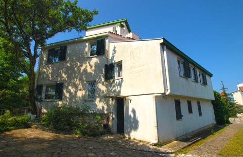 Pjescana Uvala Apartment | Apartment Tea 1651