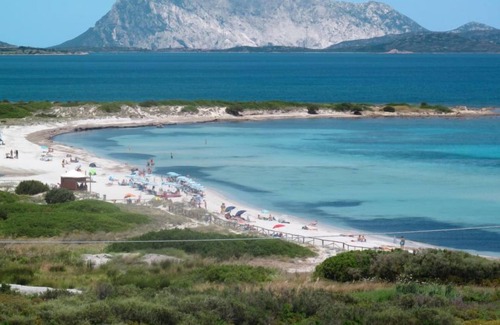 San Teodoro Apartment | Apartment Villette Coda Cavallo (TEO391) in San Teodoro - 2 persons, 1 bedrooms