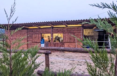 Castell'Alfero Apartment | Apartment Viola by Interhome