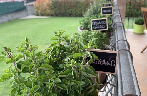 Sasso Marconi House | Apartment with garden