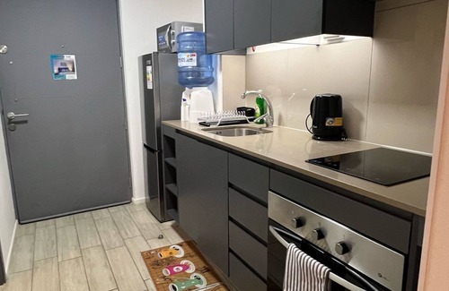 Downtown Santiago Apartment | Apartment w/private parking, steps from Teatro Caupolicán and minutes from Movistar.