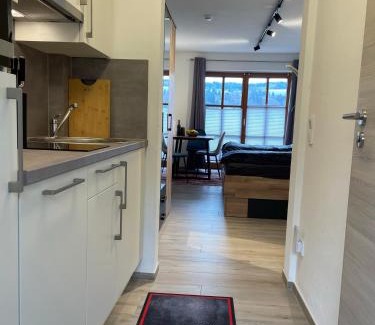 Obernzell Apartment | Apartment Wildbert mit Blick auf die Donau, nur Feriengäste willkommen, keine Arbeiterunterkunft!