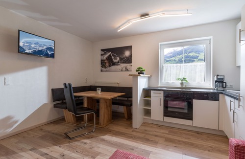 Hart im Zillertal House | Apartment with garden and terrace