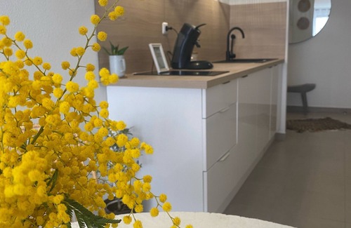 Palavas-les-Flots Apartment | Apartment with garage 50m from the beach and heart of Palavas les flots