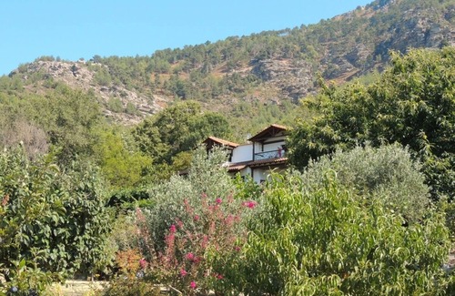 Megalos Prinos Apartment | Apartment with Amazing Mountain Views in a Traditional Thassian Estate !