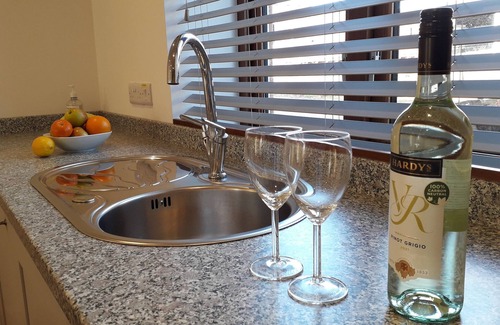 Clyst Saint George Apartment | Apartment with one king bed with shower room