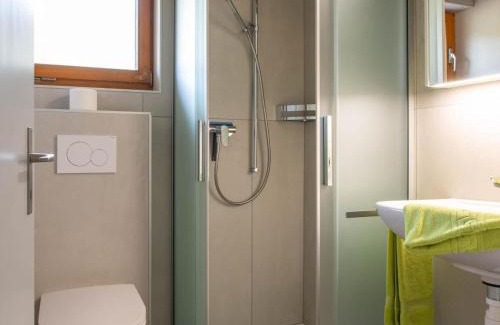 Riederalp Apartment | Apartment Zurschmitten 17 1- OG Süd by Interhome