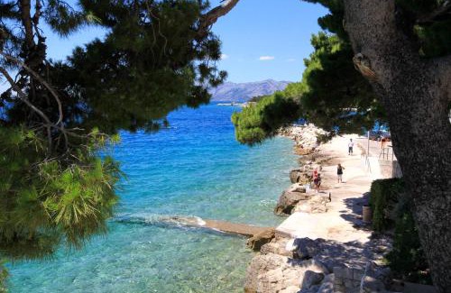 Promajna Apartment | Apartments by the sea Promajna, Makarska - 2592