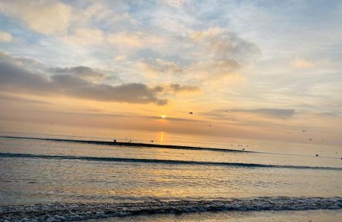 Mamaia-Sat Bed & Breakfast | Apartments Excelsior Mamaia Nord