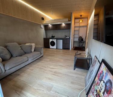 Kaunas Apartment | Apartments in Kaunas