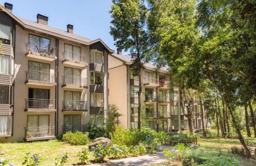 Pucon Apartment | Apartments in Pucón, Chile