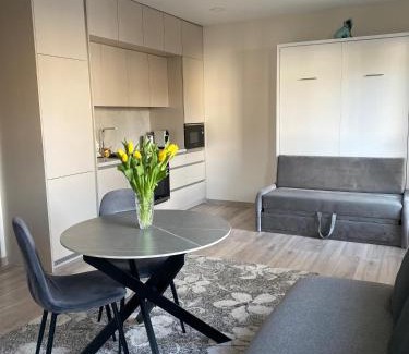 Kaunas Apartment | Apartments in the center