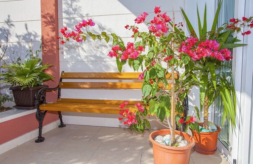 Podgora Apartment | Apartments Kunac (47551-A4) - Podgora