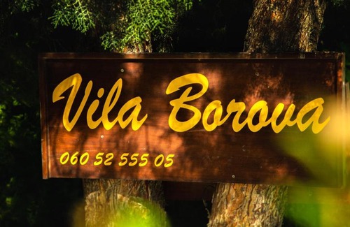 Veliko Gradiste Apartment | Apartments Vila Borova