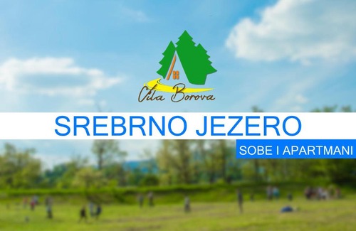 Veliko Gradiste Apartment | Apartments Vila Borova