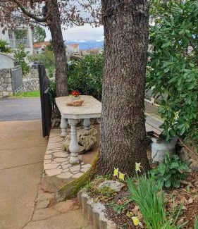 Vantacici Apartment | Apartments Vila Ida