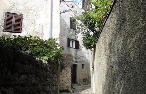 Vantacici Apartment | Apartments Vila Ida