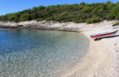 Rukavac Apartment | Apartments with a parking space Rukavac, Vis - 8837